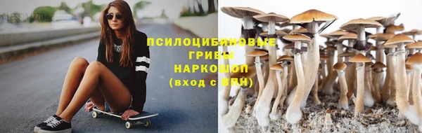 spice Балабаново