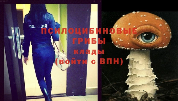 spice Балабаново