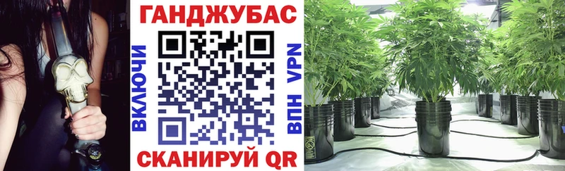 Конопля сатива  Монино 